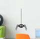 Funny Spider