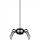 Funny Spider