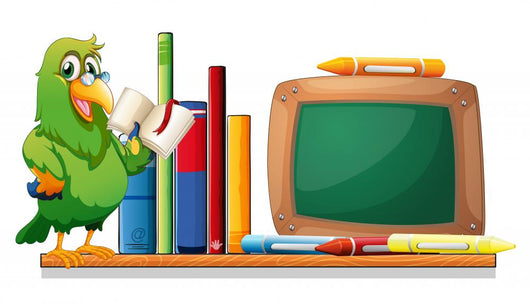 A Parrot above a Bookshelf with Books and an Empty Board Wall Decal