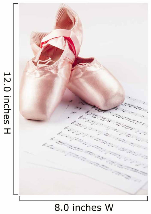 Ballet Shoes