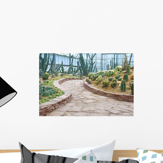 Walkway and Cactus Garden