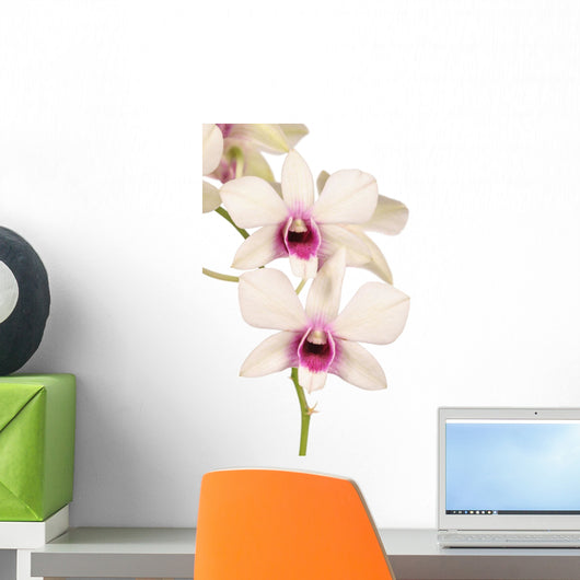 Dendrobium Wall Decal