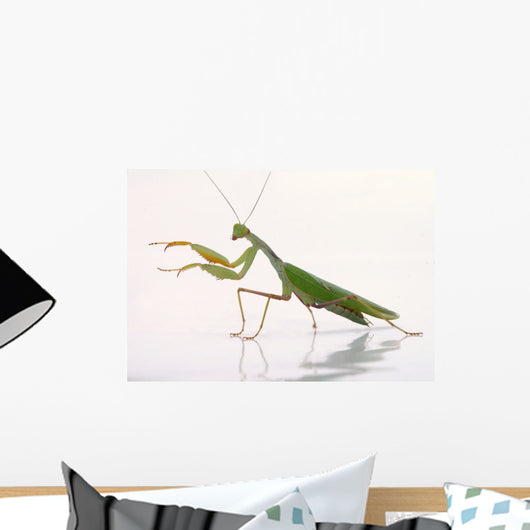 Mantis White Wall Decal