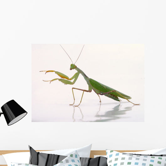 Mantis White Wall Decal