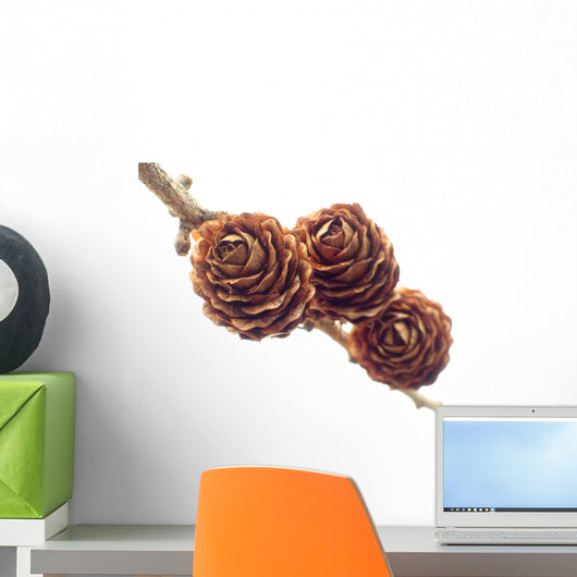 Pinecone Wall Decal