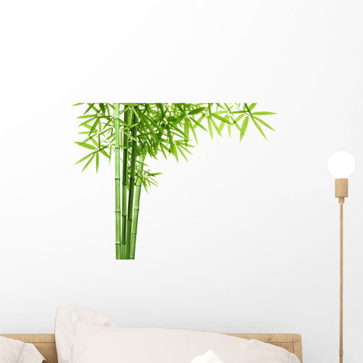 Bamboo