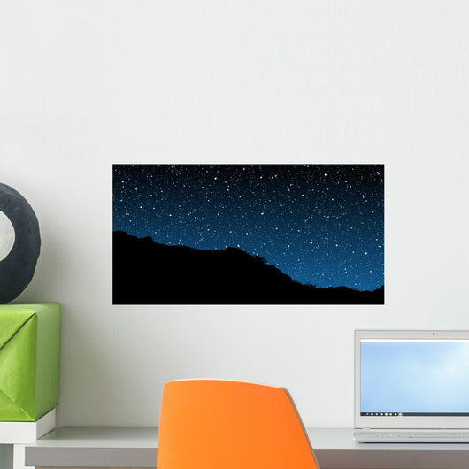 Starry Skies Wall Mural