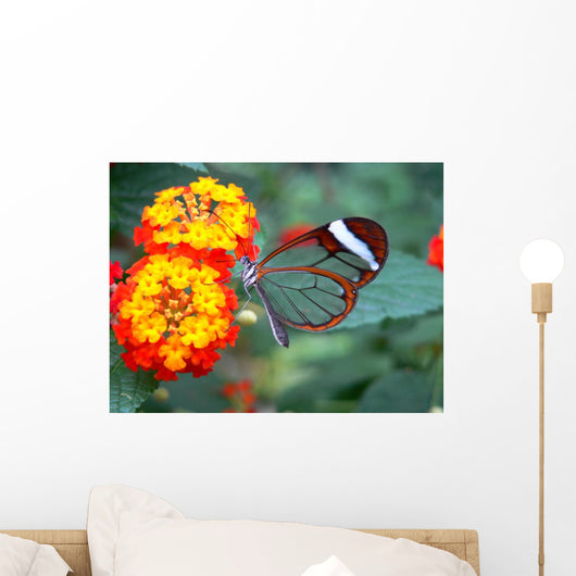 Transparent Butterfly Wall Mural