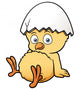Vector illustration of little chicken Wall Decal