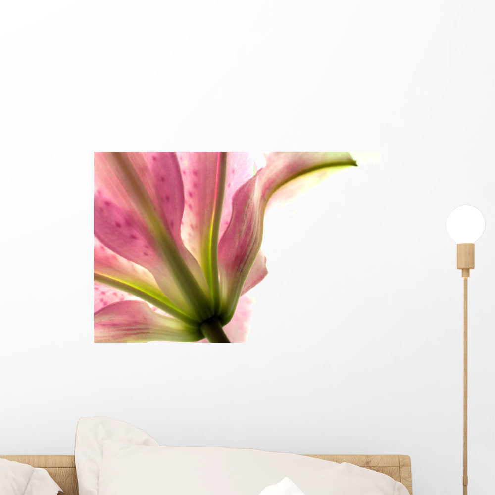 tiger lily wall stickers Tiger Lilly Wall Decal