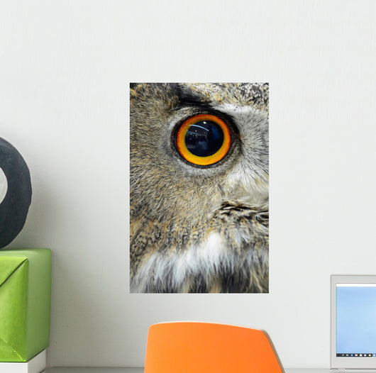 Eurasian Eagle Owl Wall Decal