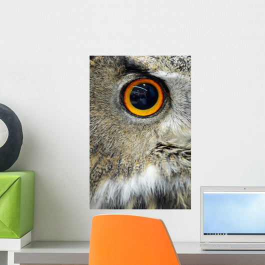 Eurasian Eagle Owl Wall Decal