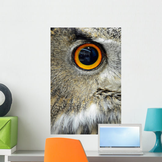 Eurasian Eagle Owl Wall Decal