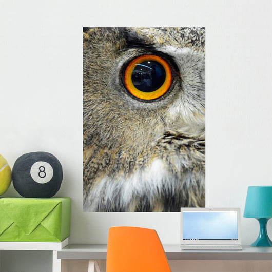 Eurasian Eagle Owl Wall Decal