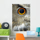 Eurasian Eagle Owl Wall Decal