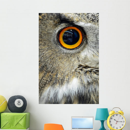 Eurasian Eagle Owl Wall Decal