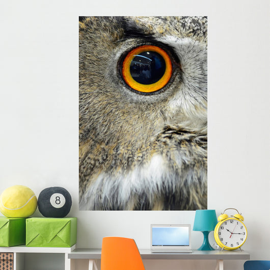 Eurasian Eagle Owl Wall Decal