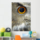 Eurasian Eagle Owl Wall Decal