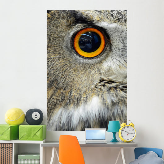 Eurasian Eagle Owl Wall Decal