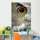 Eurasian Eagle Owl Wall Decal