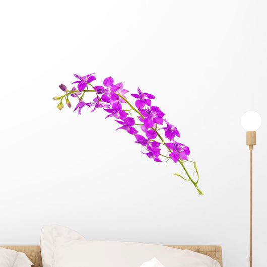 Wild Lavender Illustration Wall Decal