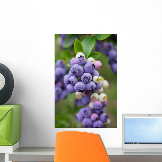 Blueberry Bush Branch Leaf Wall Decal