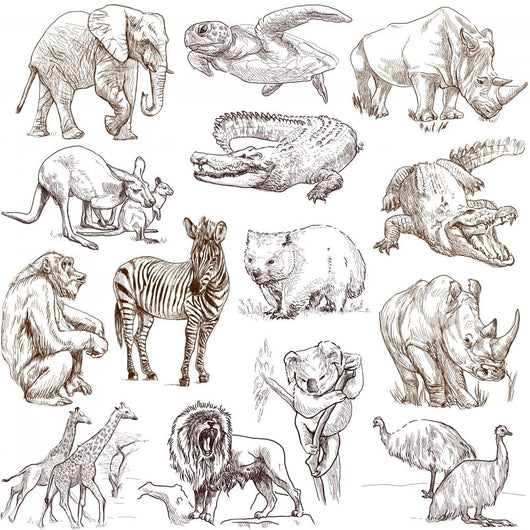 Animals around World Collection Wall Decal
