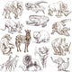 Animals around World Collection Wall Decal