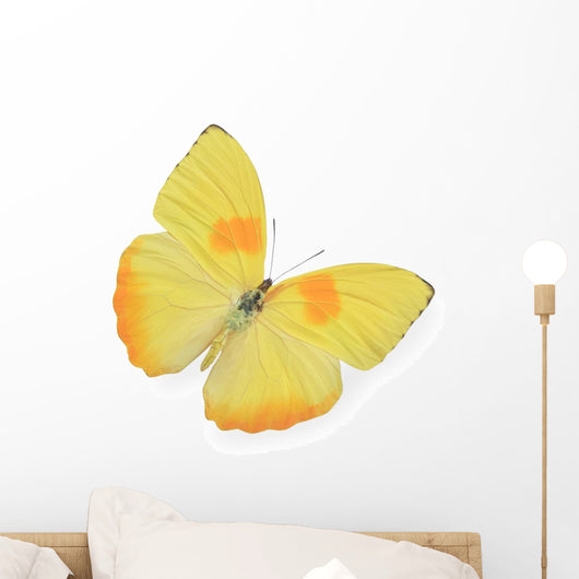 Yellow Butterfly Wall Decal