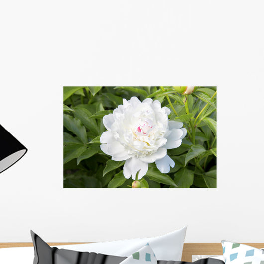 White Peony Wall Decal
