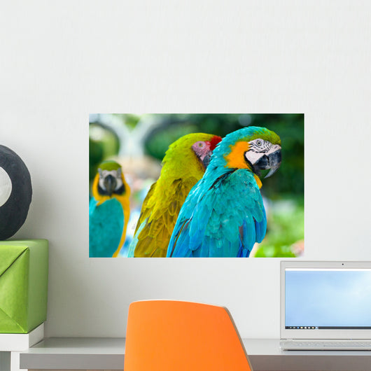 Blue Macaw Parrots Wall Decal