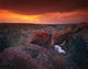 Cow Skull With Large Rocks In Field With Sunset Wall Mural