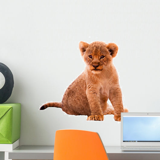 Cute Lion Cub Wall Decal