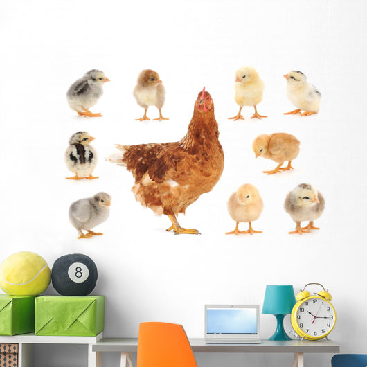Family Mama Chicken Wall Stickers Wall Decal