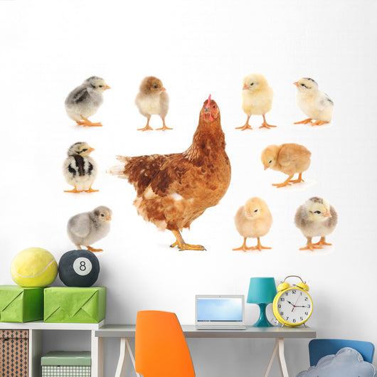 Family Mama Chicken Wall Stickers Wall Decal