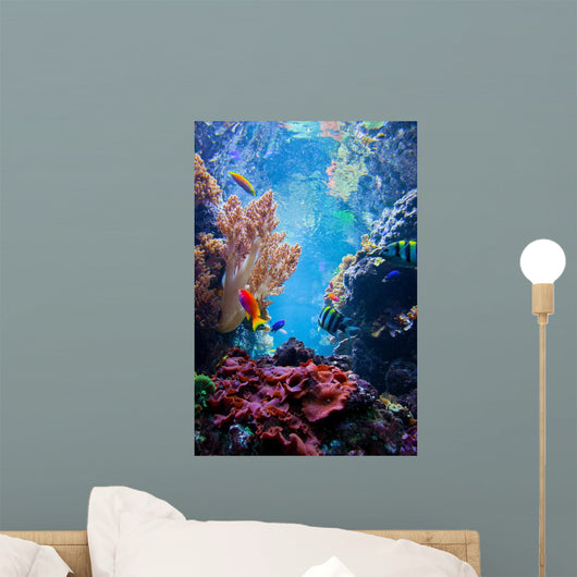 Underwater Coral Scene Wall Decal