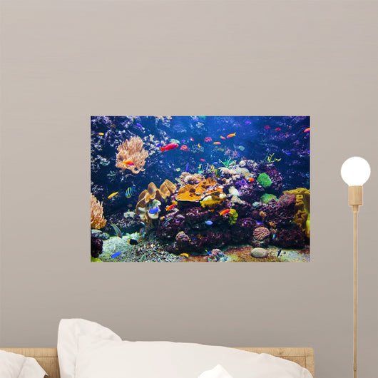 Underwater Scene with Fish Wall Decal