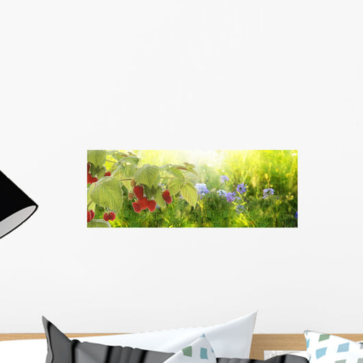 Raspberry Garden Raspberries Sunset Soft Focus Wall Decal