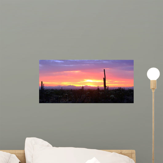 Arizona Sunset Wall Decal
