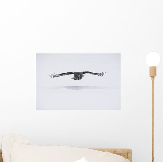 Great-grey Owl Strix Nebulosa Wall Decal