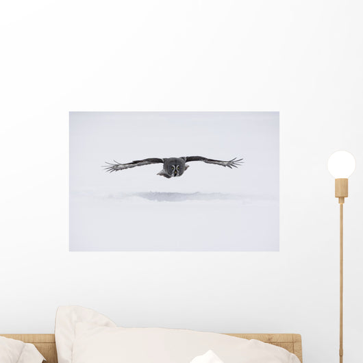 Great-grey Owl Strix Nebulosa Wall Decal