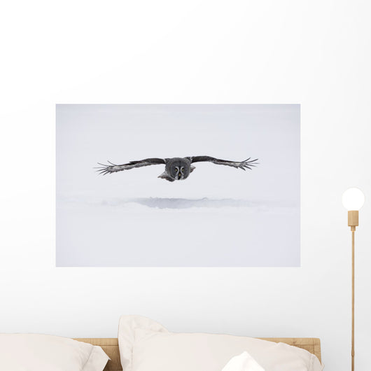 Great-grey Owl Strix Nebulosa Wall Decal