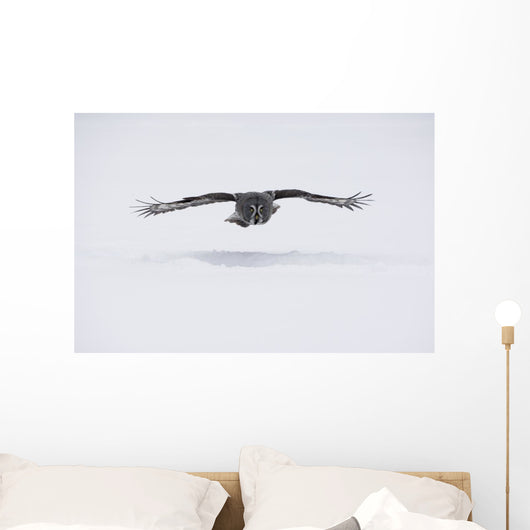 Great-grey Owl Strix Nebulosa Wall Decal