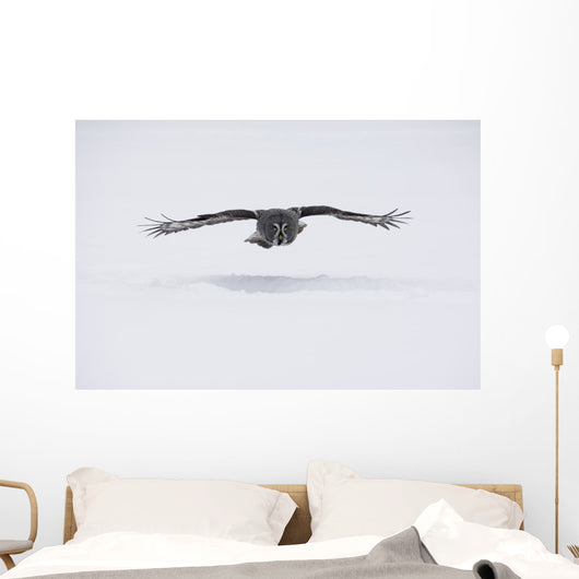 Great-grey Owl Strix Nebulosa Wall Decal