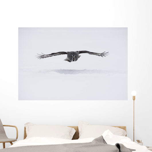 Great-grey Owl Strix Nebulosa Wall Decal