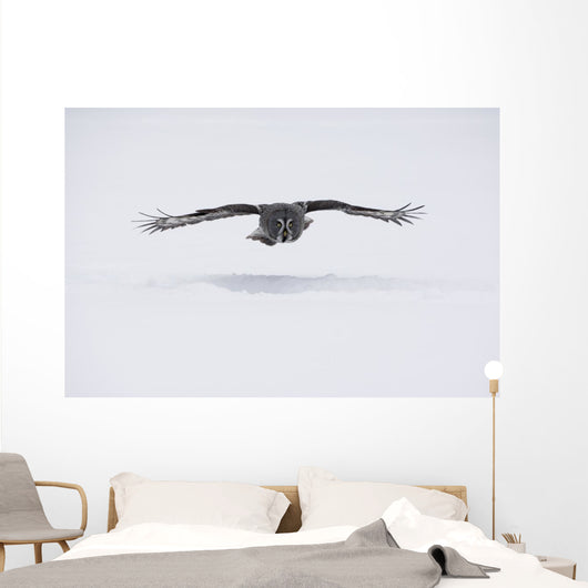 Great-grey Owl Strix Nebulosa Wall Decal