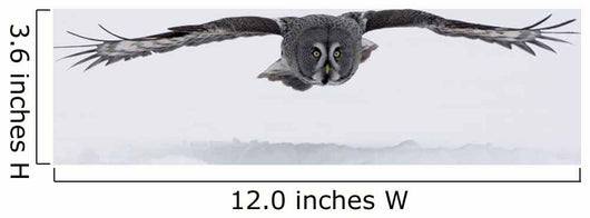 Great-grey Owl Strix Nebulosa Wall Decal