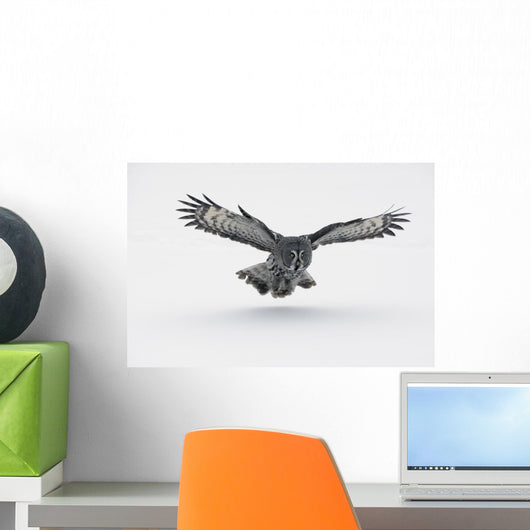 Flying Great-grey Owl Strix Nebulosa Wall Decal