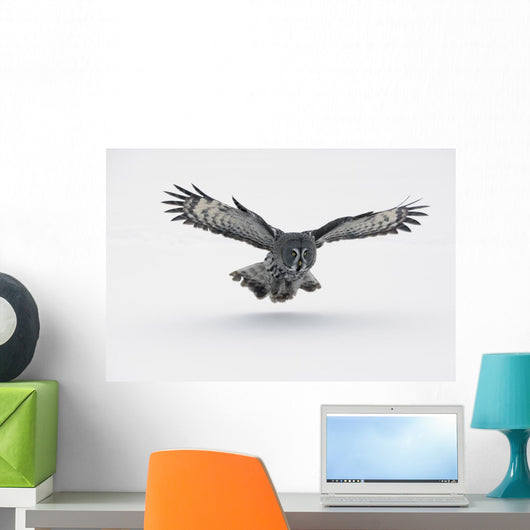 Flying Great-grey Owl Strix Nebulosa Wall Decal