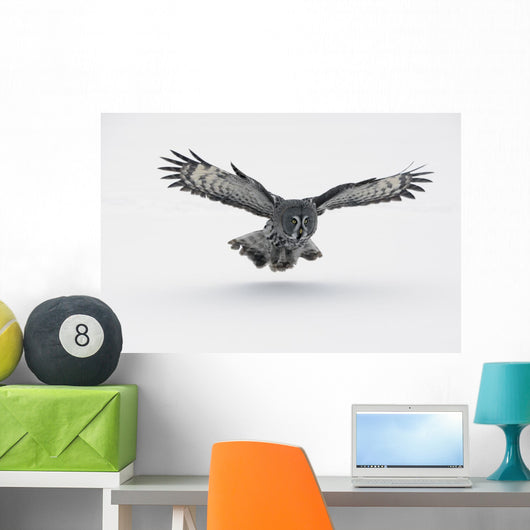 Flying Great-grey Owl Strix Nebulosa Wall Decal